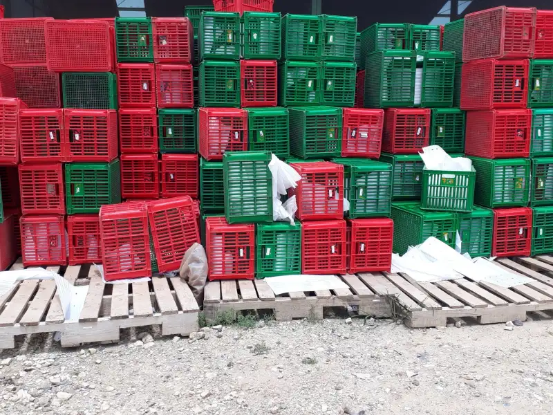 汽车租赁行业新能源车型占比提升对维保方案的影响