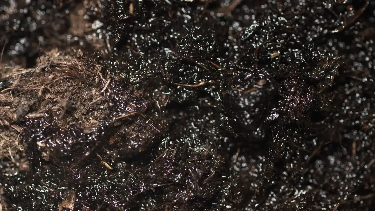 深圳新能源汽车续航技术突破与日常维保要点解析